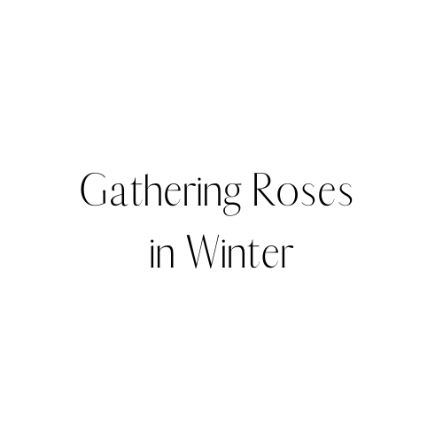 Gathering Roses in Winter